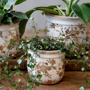 Chic Antique, Anniversary, Melun, Skjuler