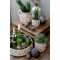 Chic Antique, Flaske med blade og brmotiv