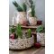 Chic Antique, Flaske med blade og brmotiv