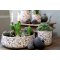 Chic Antique, Fad med blade og brmotiv
