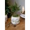 Chic Antique, Skjuler med granrankemotiv