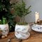 Chic Antique, Skjuler med granrankemotiv