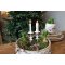 Chic Antique, Fad med granrankemotiv