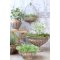 Chic Antique, Skjuler til v�g