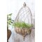 Chic Antique, Skjuler til v�g