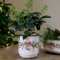 Chic Antique, Skjuler med julekugle og sl�jfe