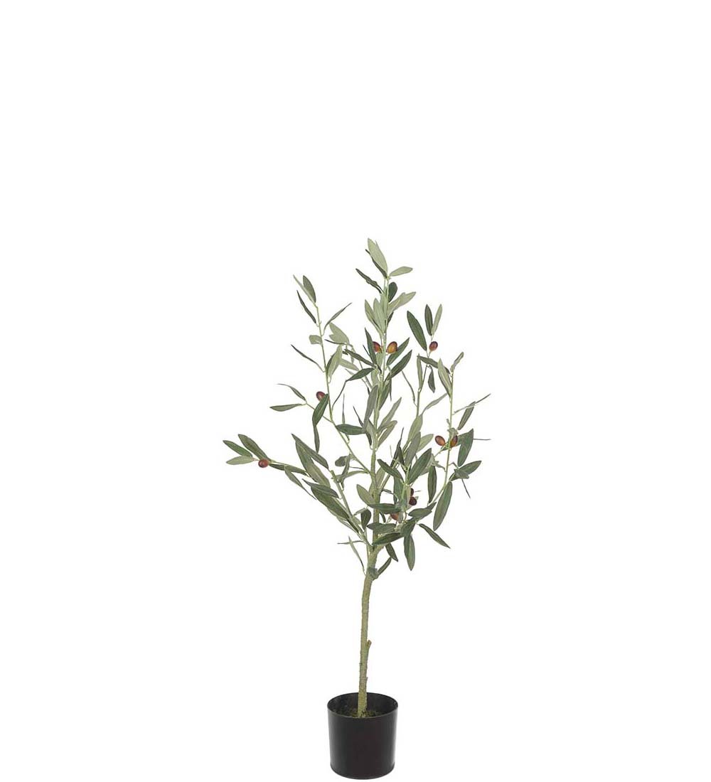 Mr Plant, Oliventr, 90 cm