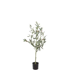 Mr Plant, Oliventr, 90 cm