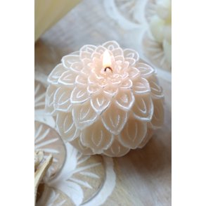 Chic Antique, Vienne Bloklys kande, latte