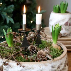 Chic Antique, Spyd med juletr