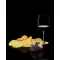 Snack gold, Spanske Gourmet chips med sort trffel, 125g.