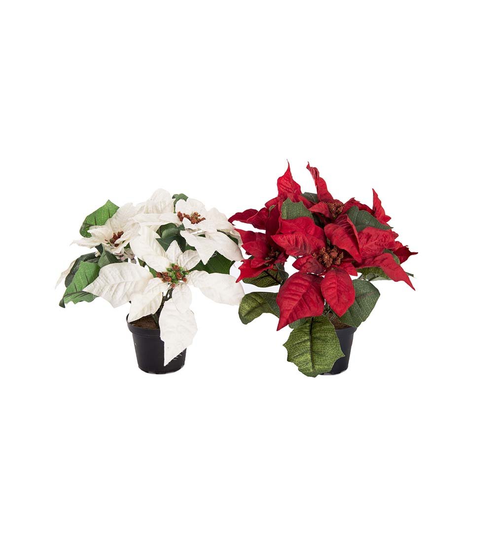 Mr Plant, Kunstig julestjerne, H23 cm