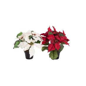 Mr Plant, Kunstig julestjerne, H23 cm