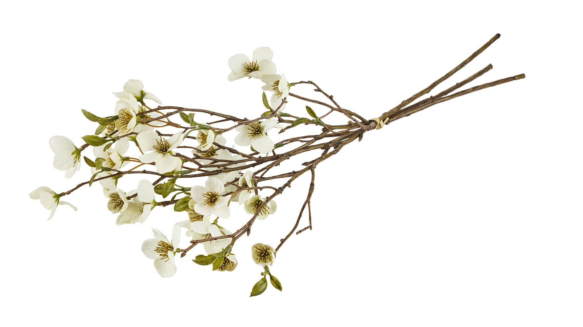 La Vida, Silkeblomst, Blomstergren, 3 stk., L53 cm., cream