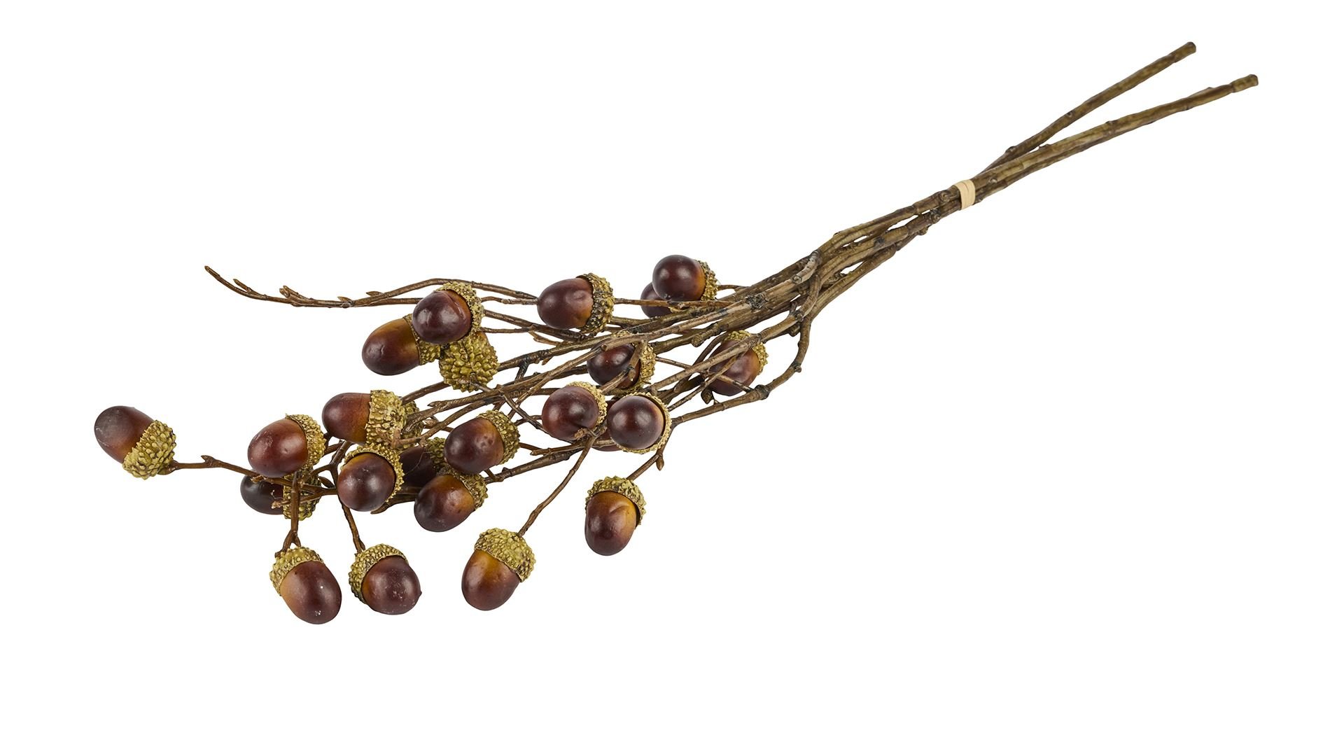 La Vida, Silkeblomst, Agern gren, 3 stk., L56 cm.