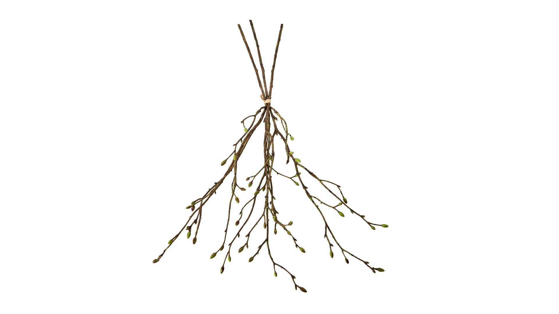 La Vida, Gren/knop 3 stk., L:56 cm