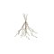 La Vida, Gren/knop 3 stk., L:56 cm