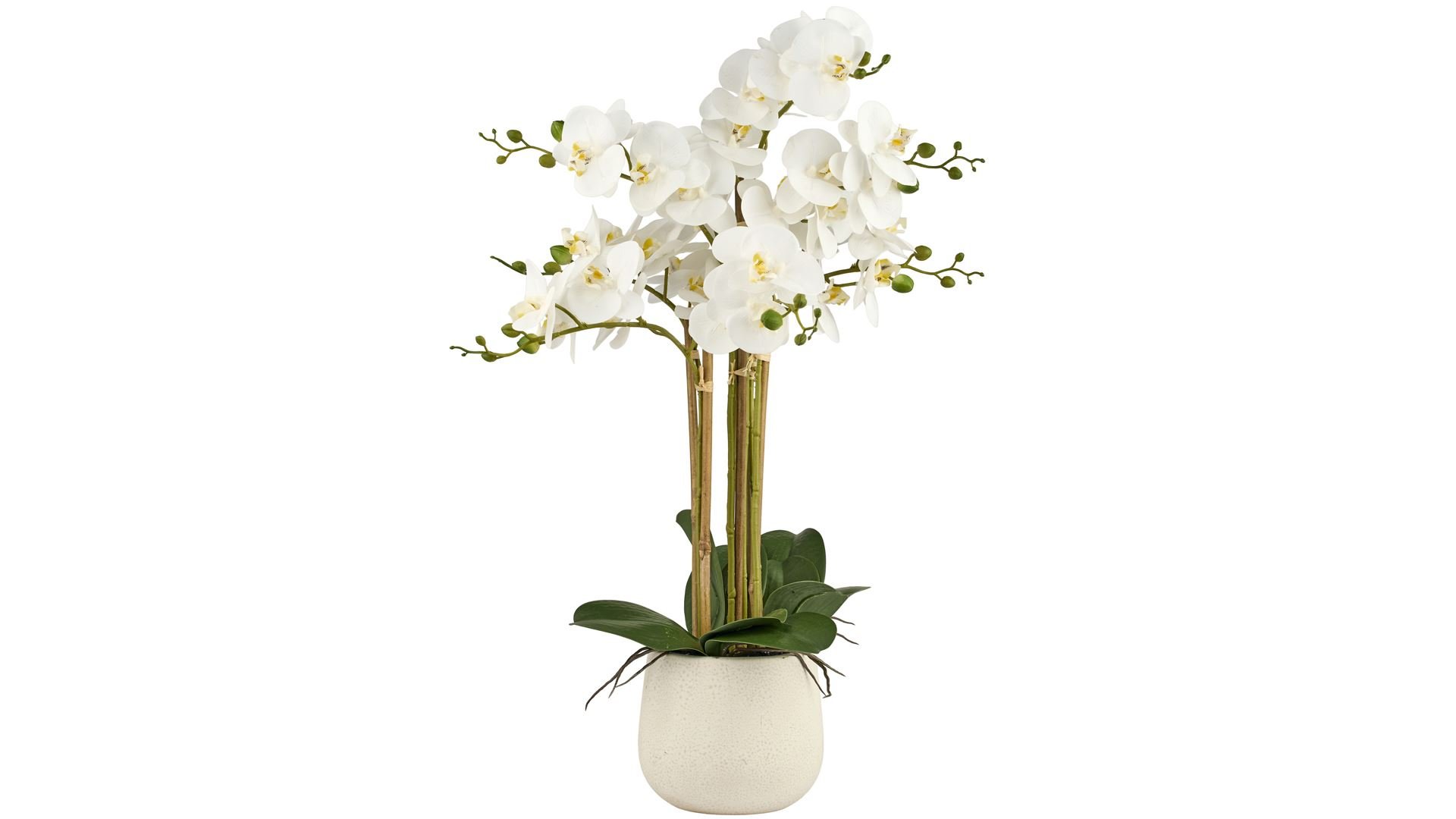 La Vida, Kunstig orkid, H65 cm, hvid