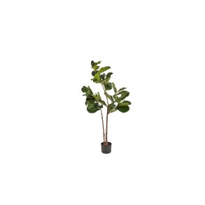 La Vida, Silkeblomst, Ficus Lyrata, H150 cm