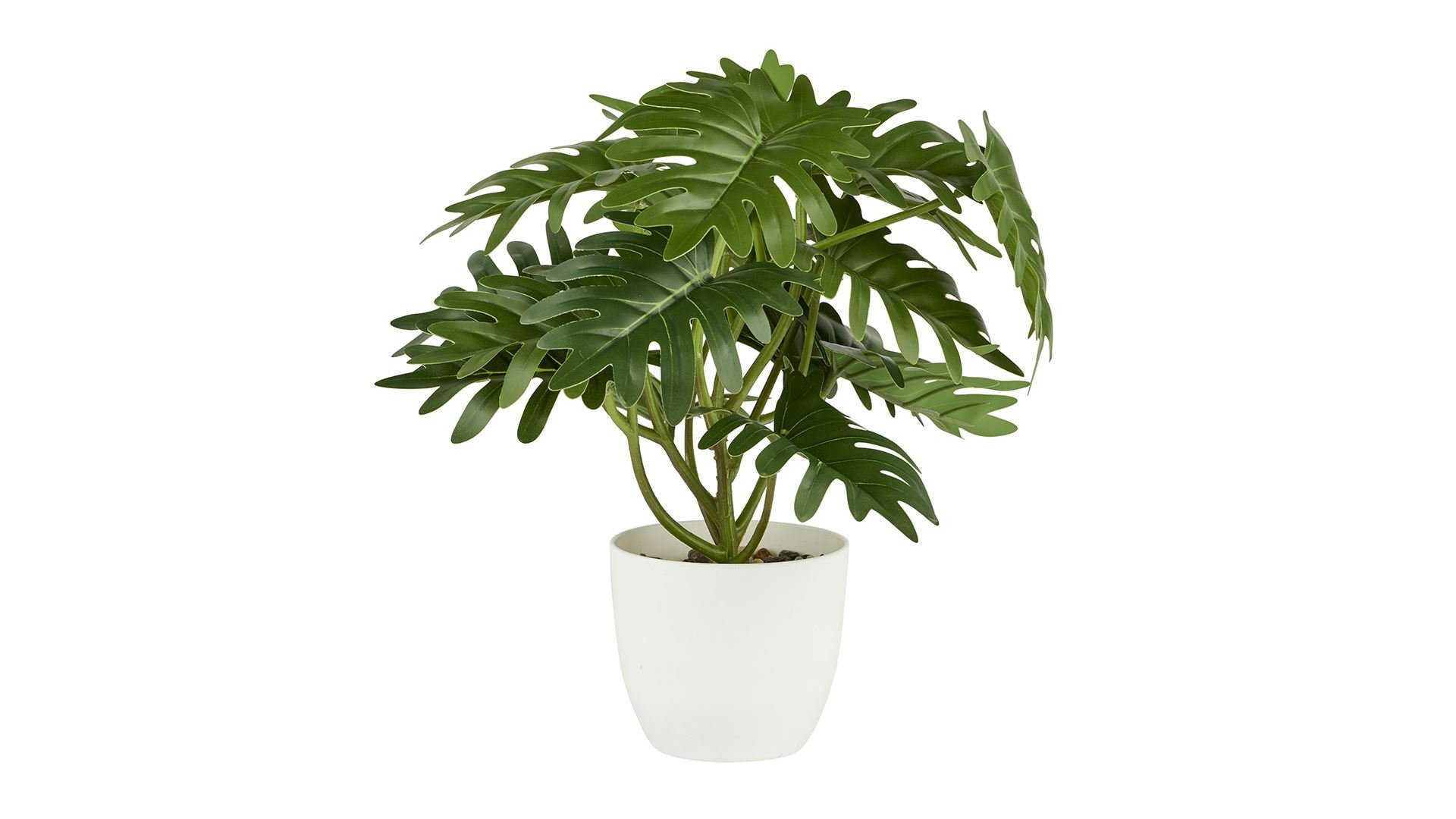 La Vida, Kunstig plante, Xanadu, H28 cm