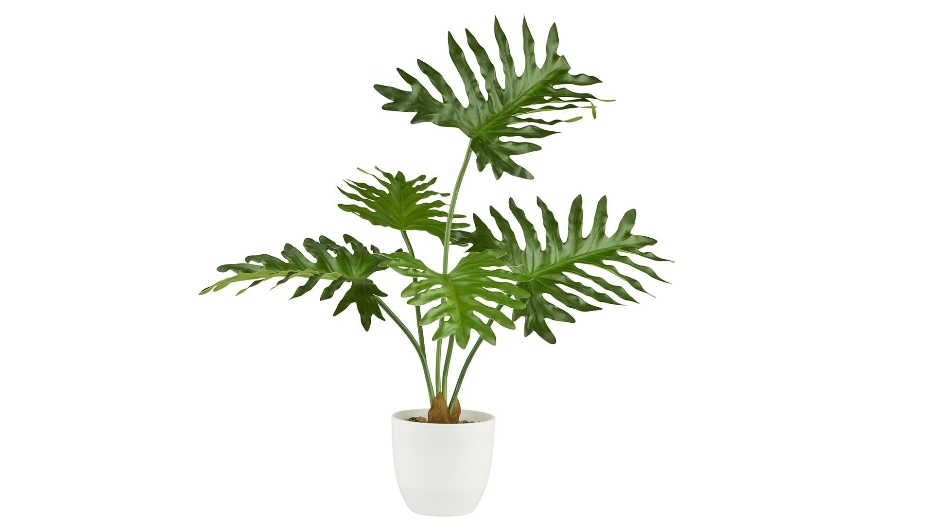 La Vida, Kunstig plante, Xanadu, H50 cm