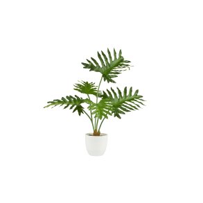La Vida, Kunstig plante, Xanadu, H50 cm