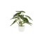 La Vida, Kunstig plante, Alocasia, H28, Broget
