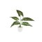 La Vida, Kunstig plante, Alocasia, H63, Broget