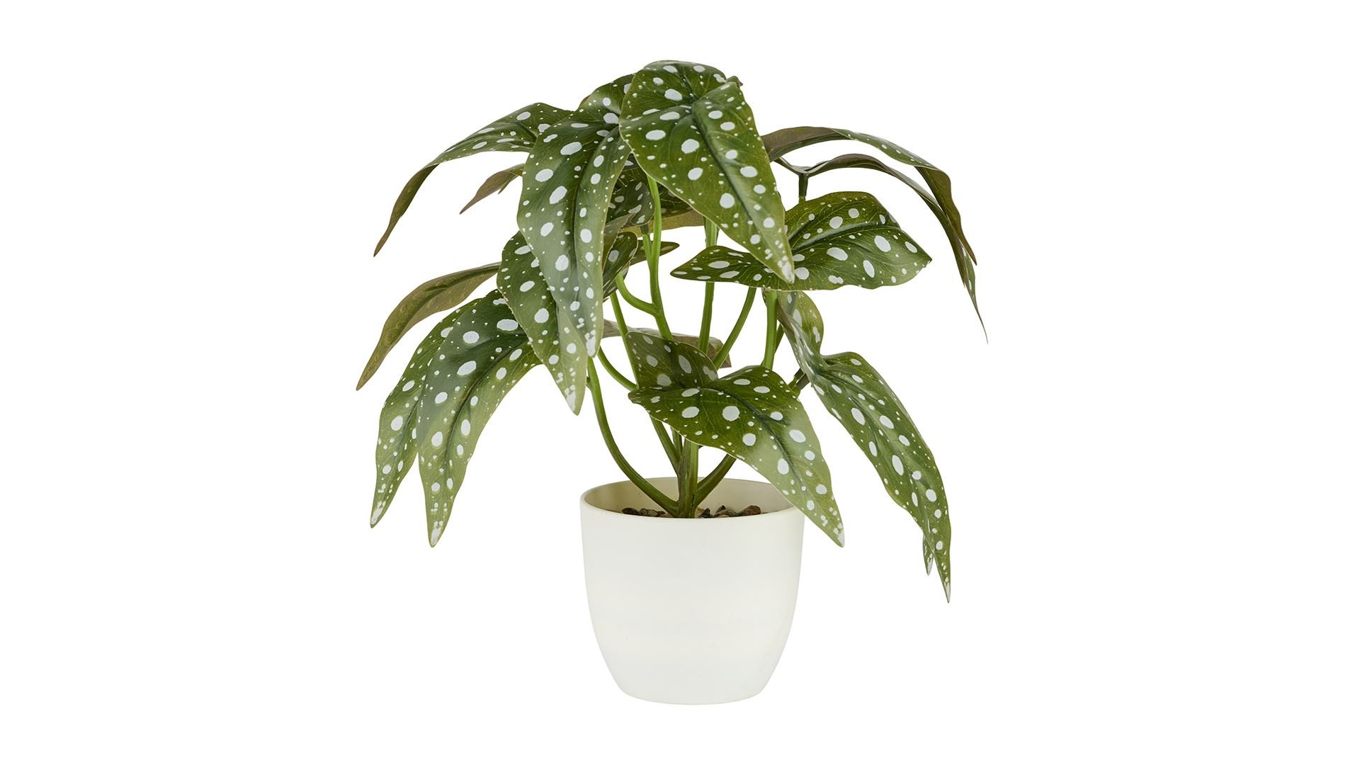 La Vida, Kunstig plante, Begonia, H28, Broget