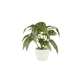 La Vida, Kunstig plante, Begonia, H28, Broget