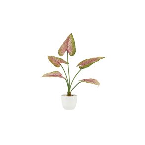 La Vida, Kunstig plante, Caladium, H58, Rosa