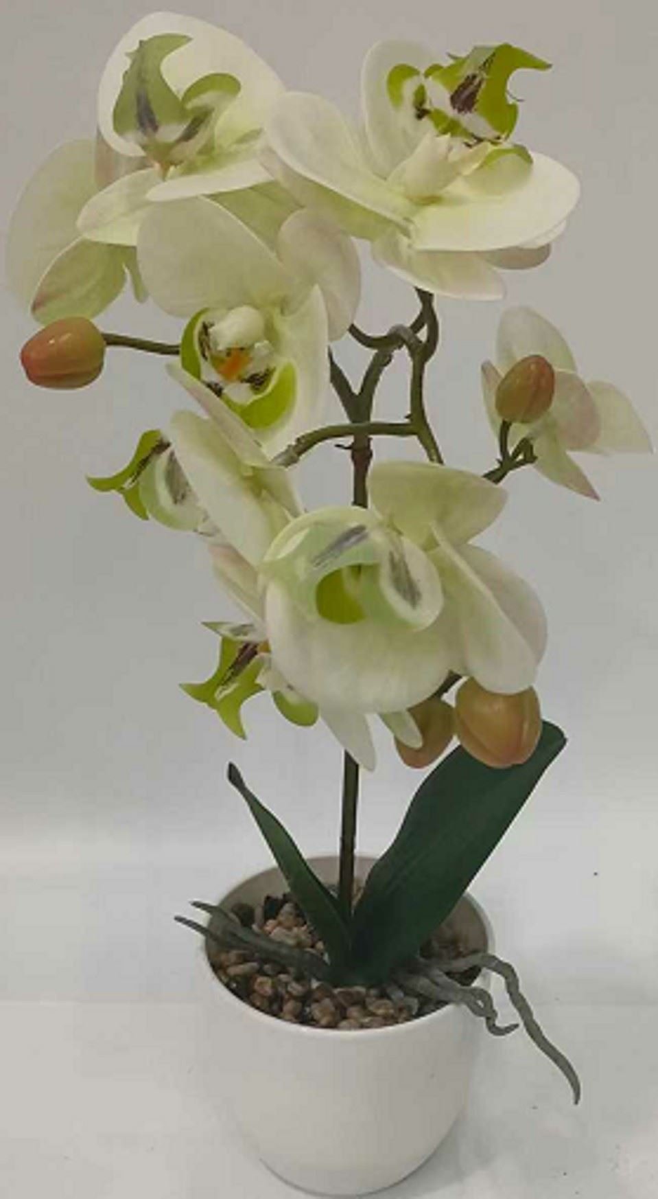 La Vida, Kunstig orkide, H41 cm, gr�n/hvid