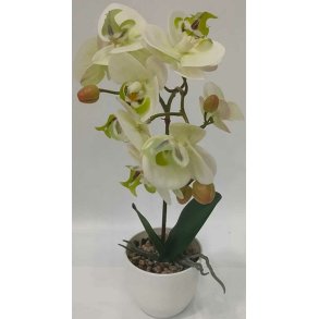 La Vida, Kunstig orkide, H41 cm, gr�n/hvid
