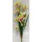 La Vida, Orkide, H43, Gr�n/Rosa