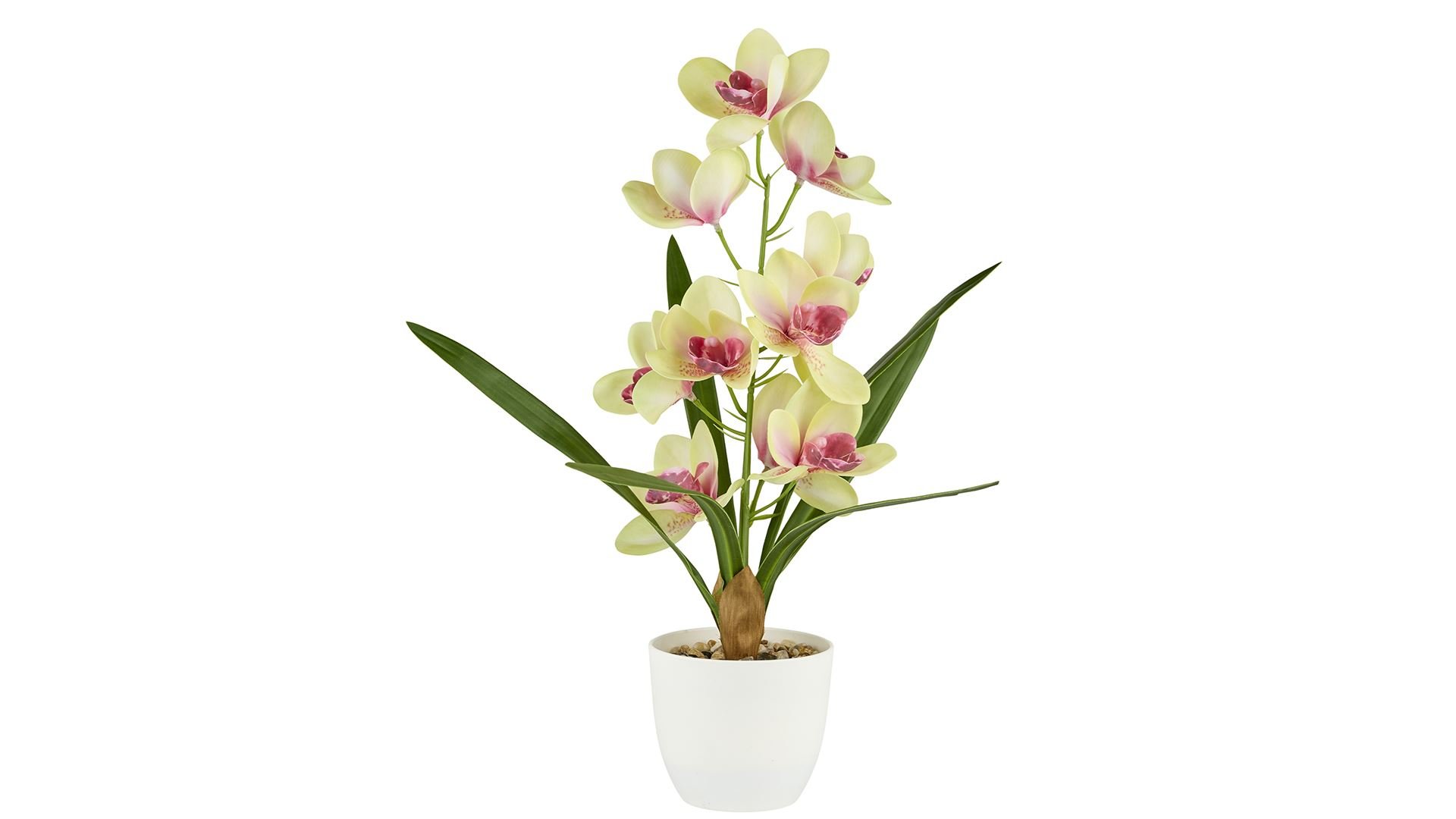 La Vida, Kunstig orkide i potte, H43, Gr�n/Rosa