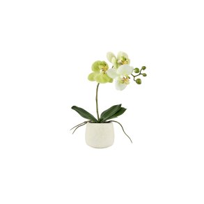 La Vida, Silkeplante, Orkidee, H36xD13 cm, Lime