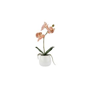 La Vida, Silkeplante, Orkidee, H36xD13 cm, Rosa