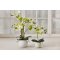 La Vida, Silkeplante, Orkidee, H36xD13 cm, Lime