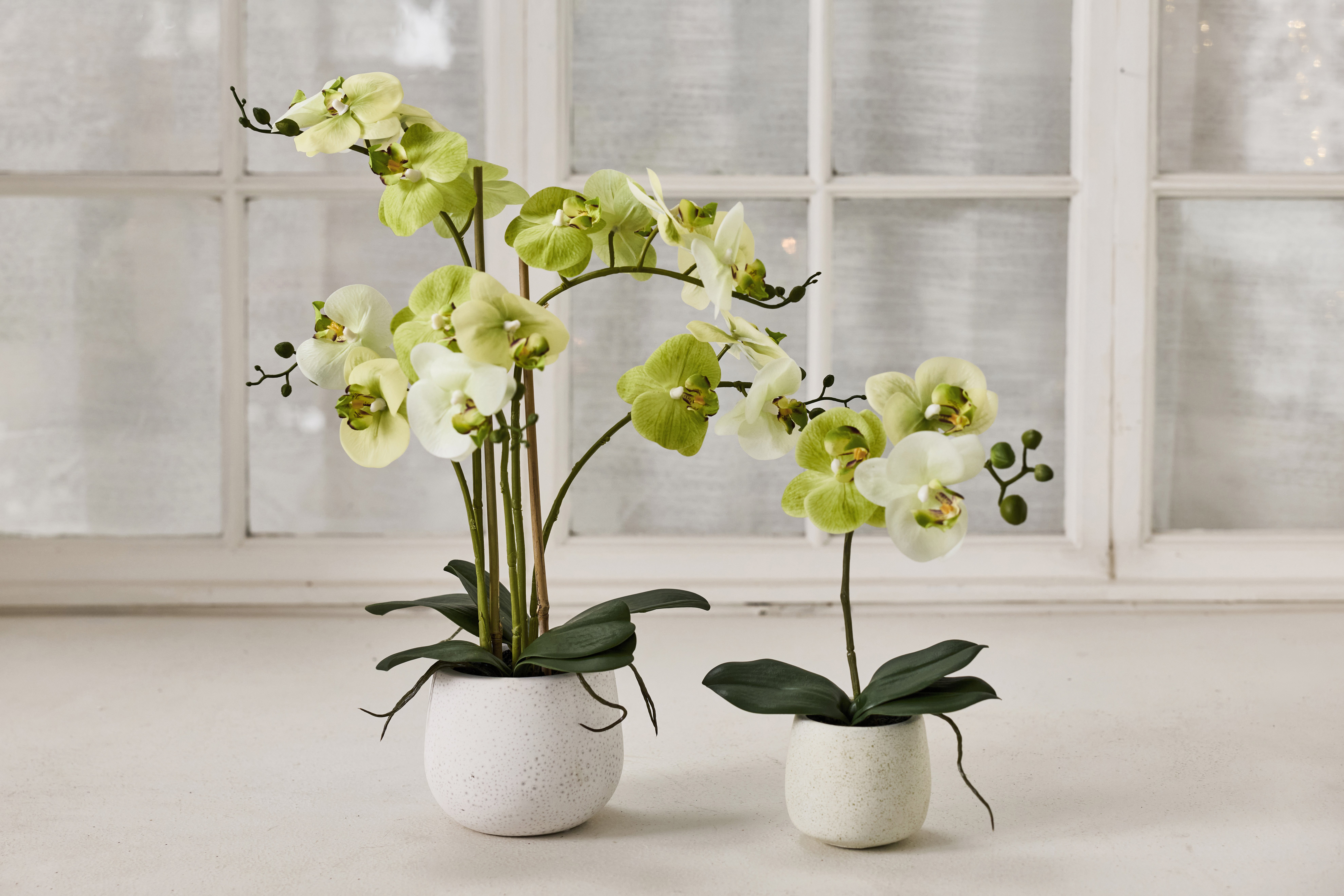 La Vida, Silkeplante, Orkidee, H50xD40 cm, Lime