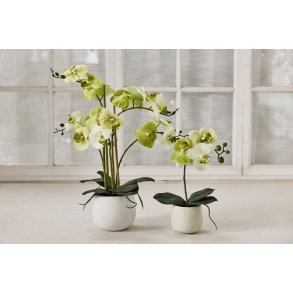 La Vida, Silkeplante, Orkidee, H50xD40 cm, Lime