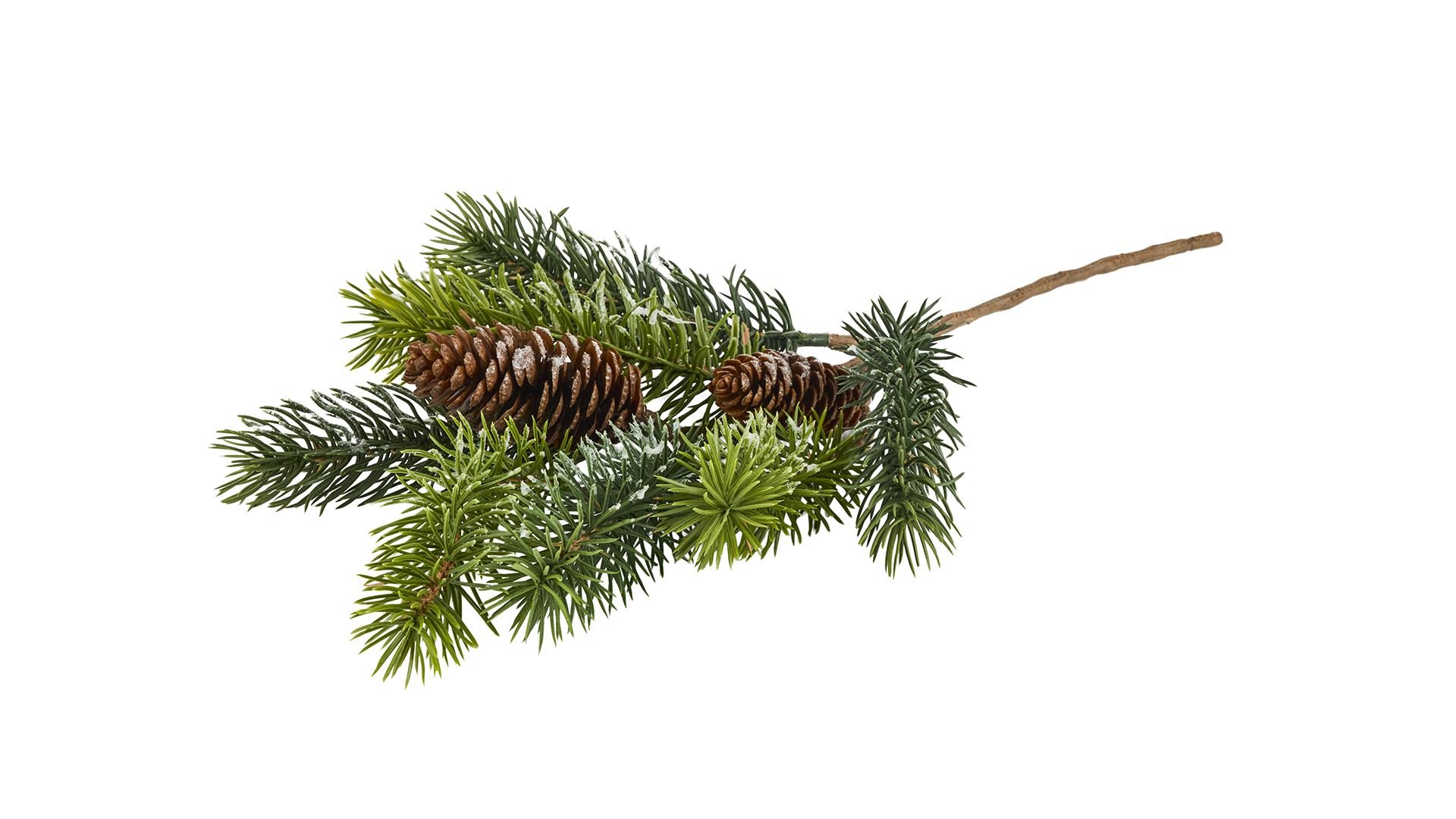 La Vida, Silkeblomst, Grangren/Kogle, 30 cm