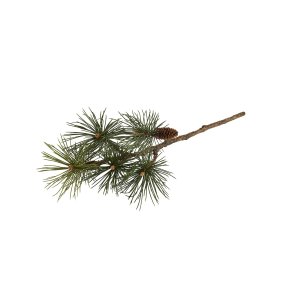 La Vida, Silkeblomst, Pinewood/kogle, 65 cm