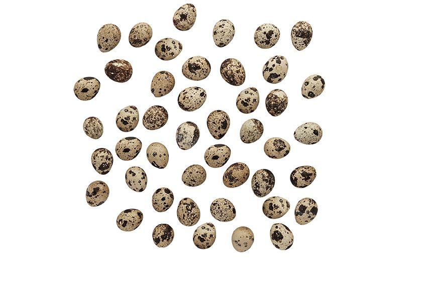 La Vida, Vagtel �g, 60 stk., natur