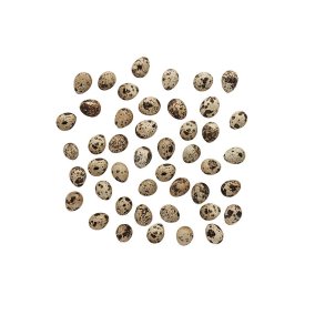 La Vida, Vagtel �g, 60 stk., natur