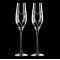 Matrivo, Champagneglas med Swarovski krystaller, 2 stk. Two Heart