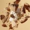 THE MALLOWS, Crispy mallows - skumfidus med karamel og dulche chokolade, flowpack