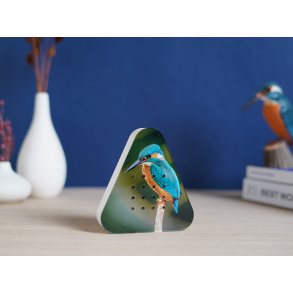 Relaxound, Lakesidebox, Limited Edition, forr, Kingfisher