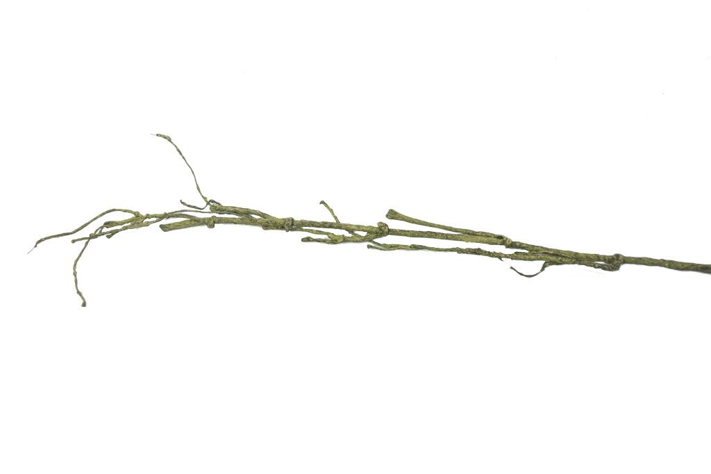 Speedtsberg, Gren b�jelig 80cm