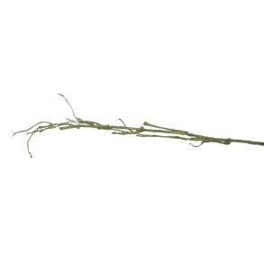 Speedtsberg, Gren b�jelig 80cm