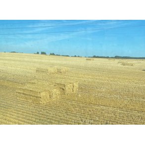 Vinterbyg halm, 50 kg. 